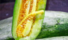 网红吃瓜爆料怎么找,探寻幕后真相与热点追踪